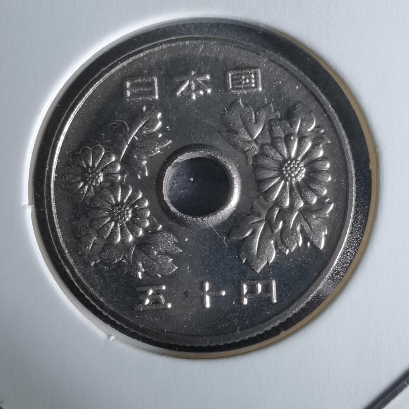 沼泽如烟--第1034场