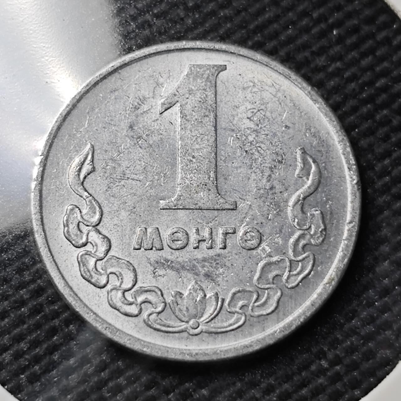 KK钱币收藏小铺  第407期 2月预留时间 周末发货