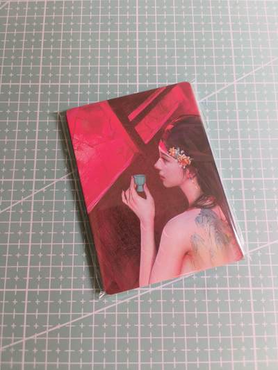 C先生 第25期 零抽层免费代拍  持续收拍品中  需要送拍的老板可以加微私聊 - 【九拼】燎原文化×刷子《人间传》柳如是