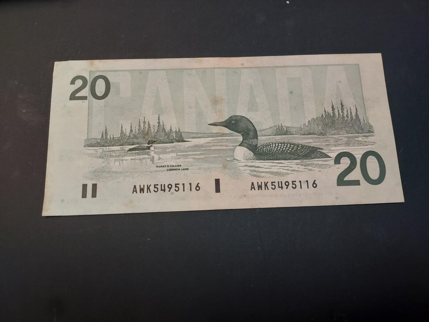 博彦收藏    4月1日 8点 钱币专场 加拿大女皇20元 流通品