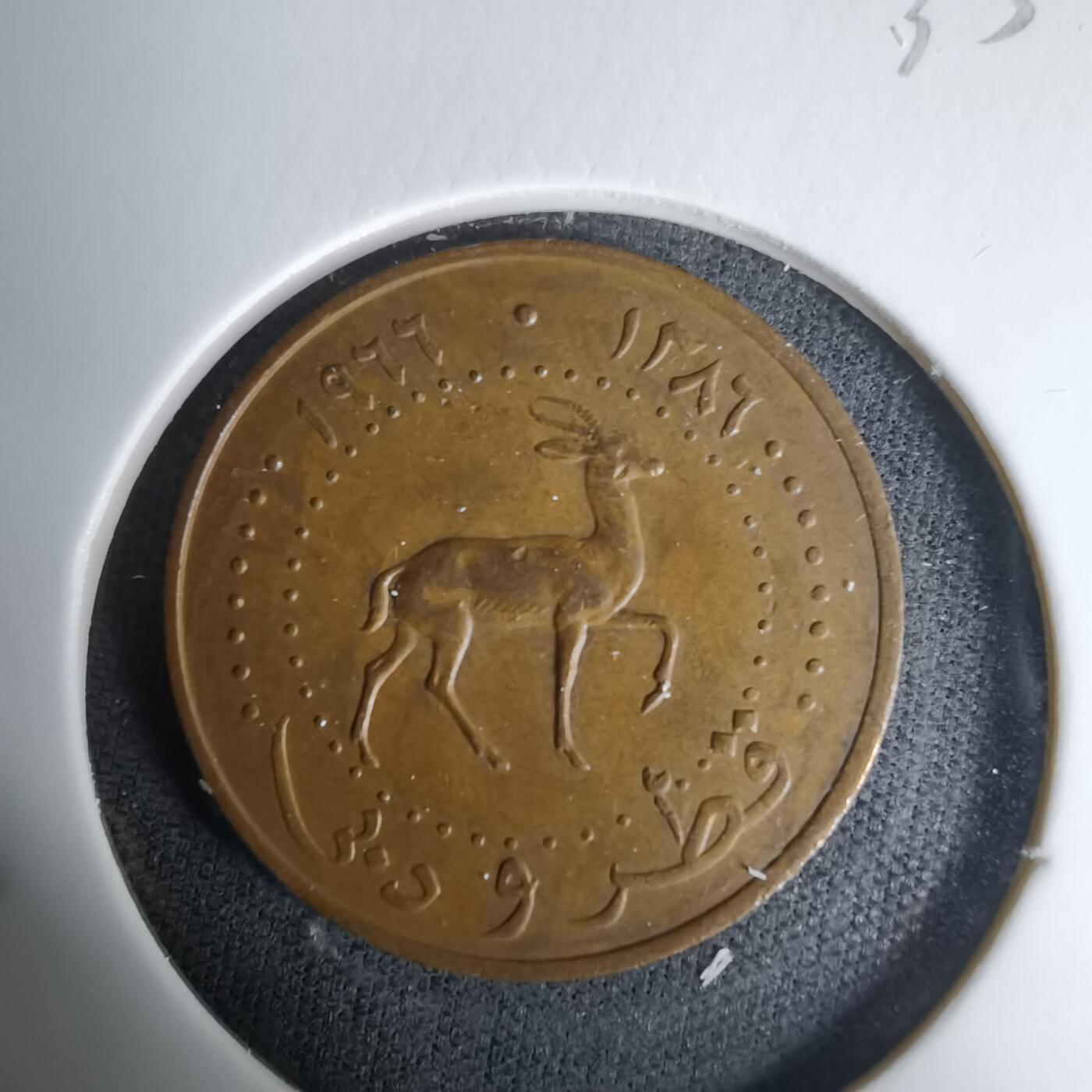 沼泽如烟--第1035场 卡塔尔迪拜1966年5迪拉姆