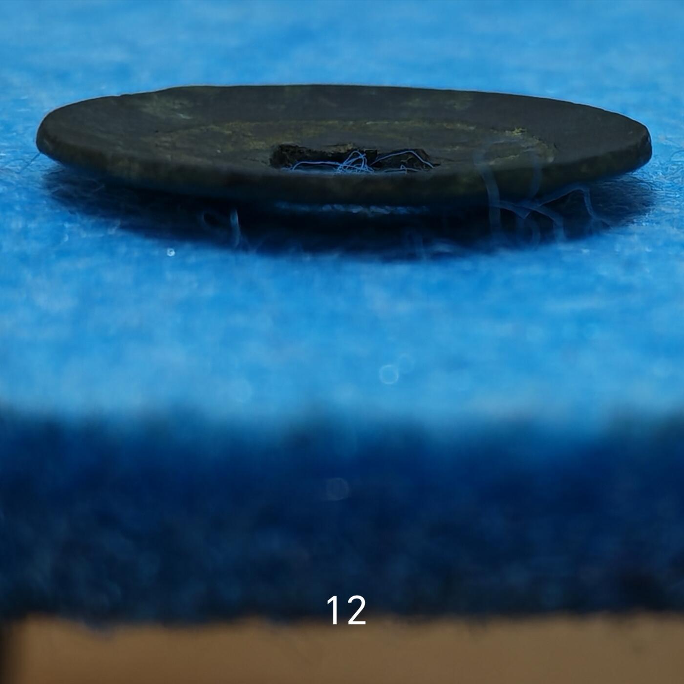 3月27日 🌏全球币章