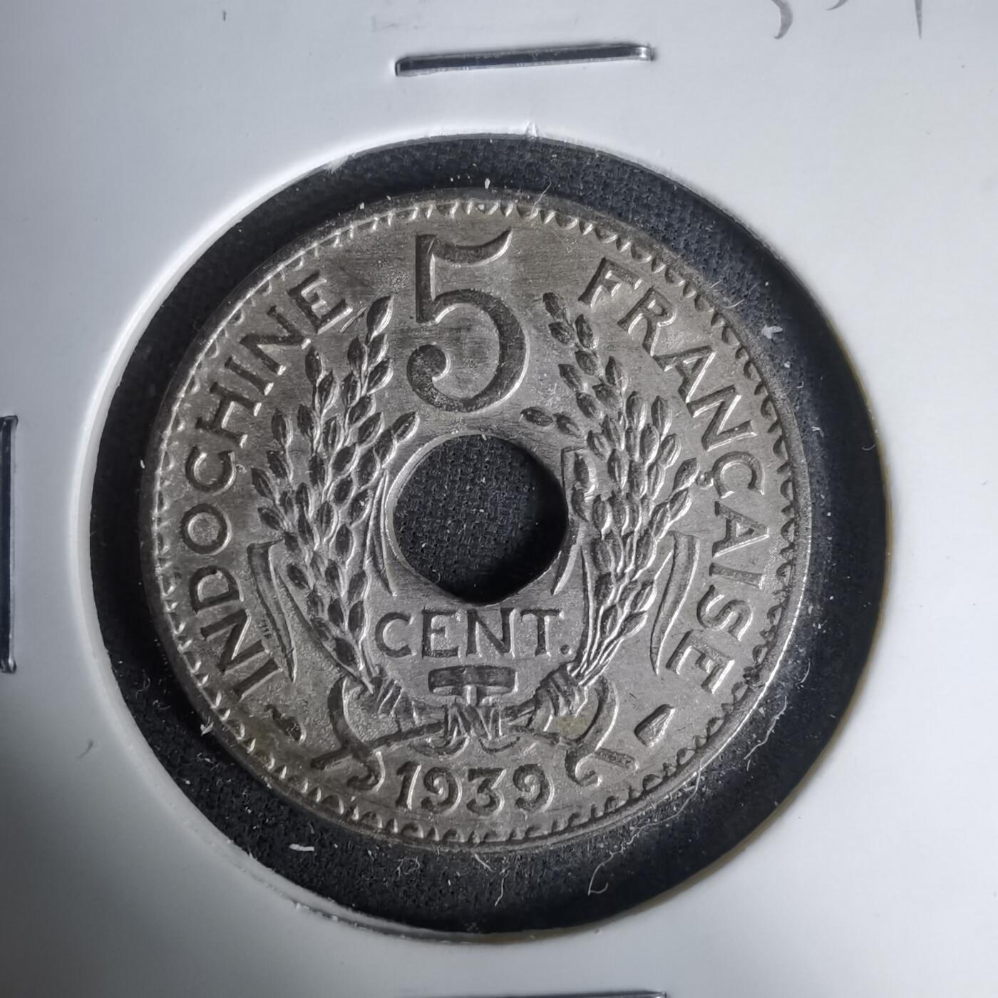 沼泽如烟--第1035场