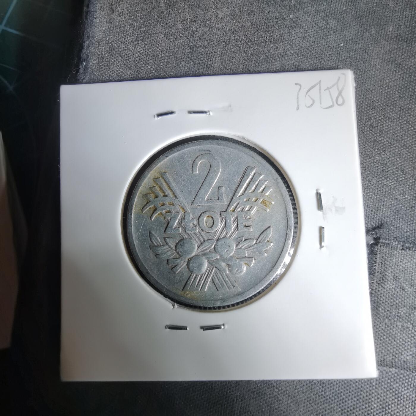 沼泽如烟--第1035场