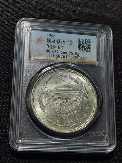 天下钱庄专场欢迎参拍 - 埃及1磅银币