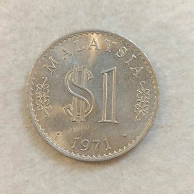 君烨收藏 0元起拍 散币场 每天一场 可留存 第23场 周日发货 - 6马来西亚大一元