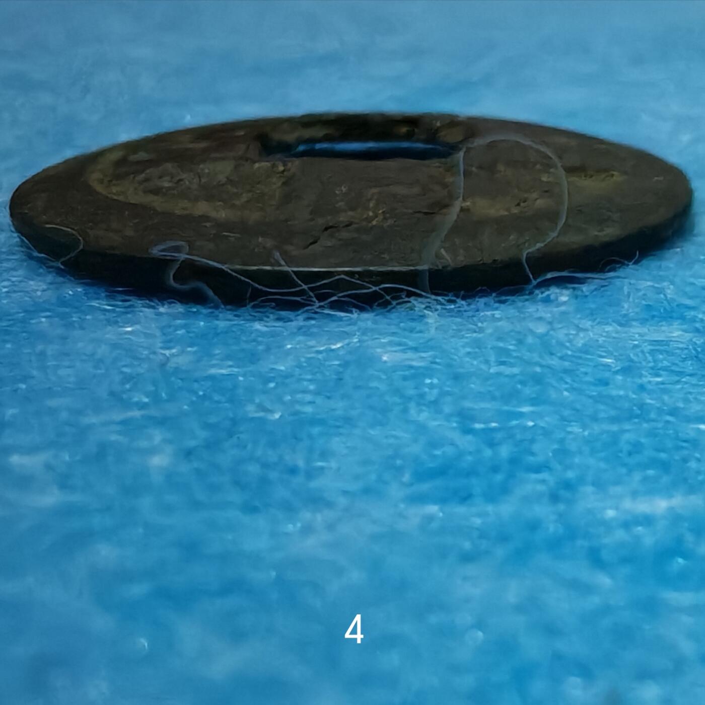 3月27日 🌏全球币章