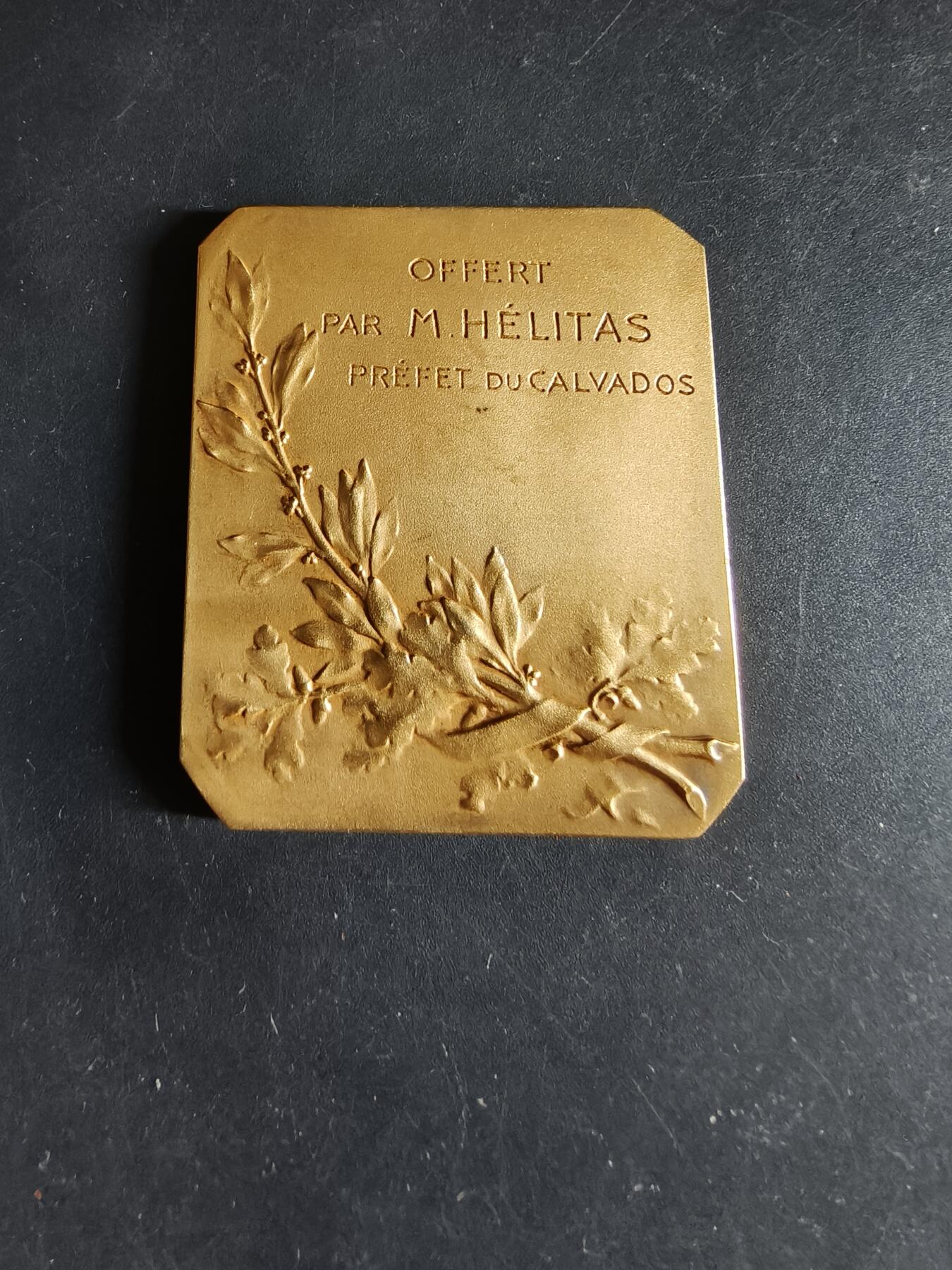 老王徽章第190期 法国卡尔瓦多斯省省长赠送方形镀金大铜章     戎装玛丽安娜   大师亨利·杜布瓦版本      尺寸45×50mm    重量58.4g