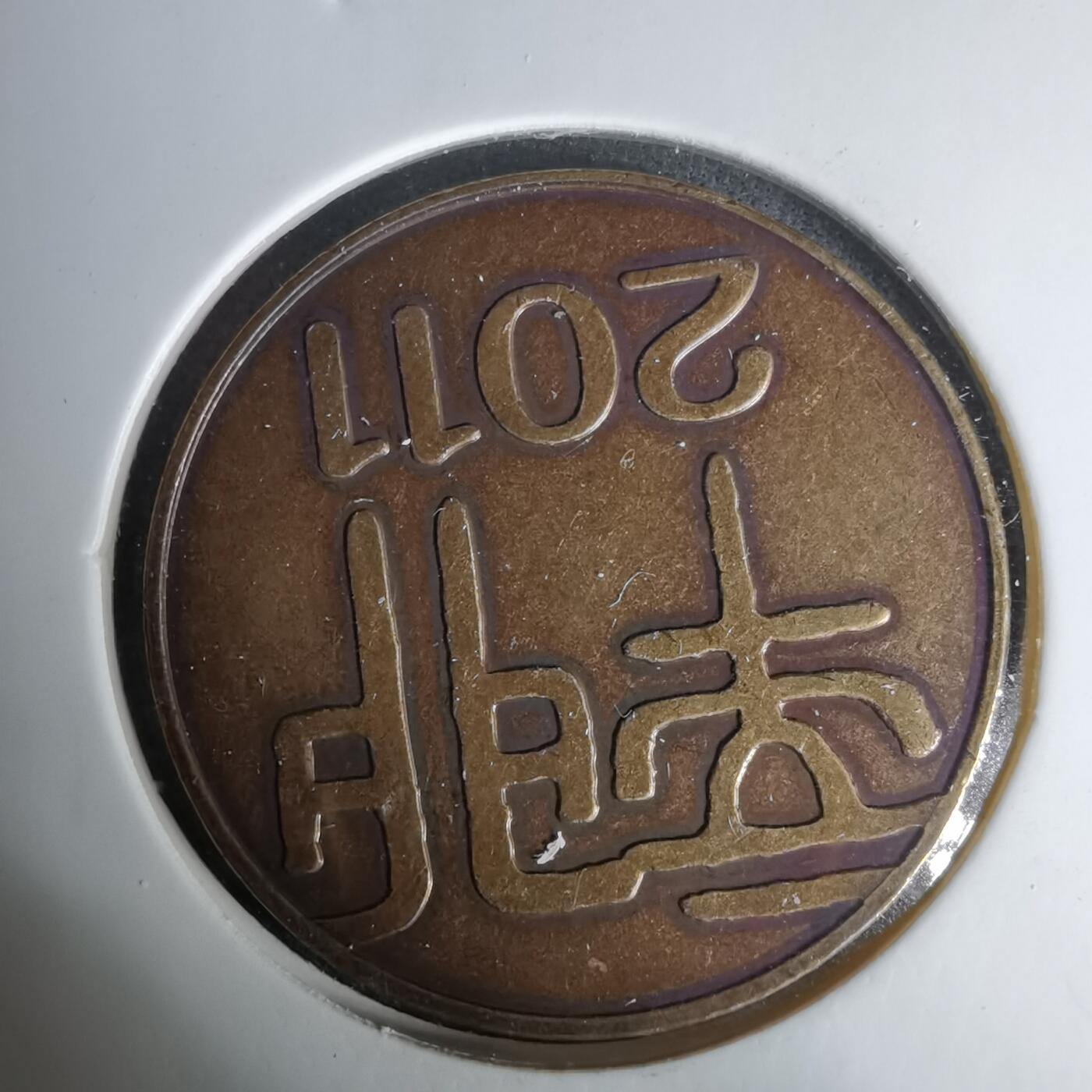 沼泽如烟--第1035场