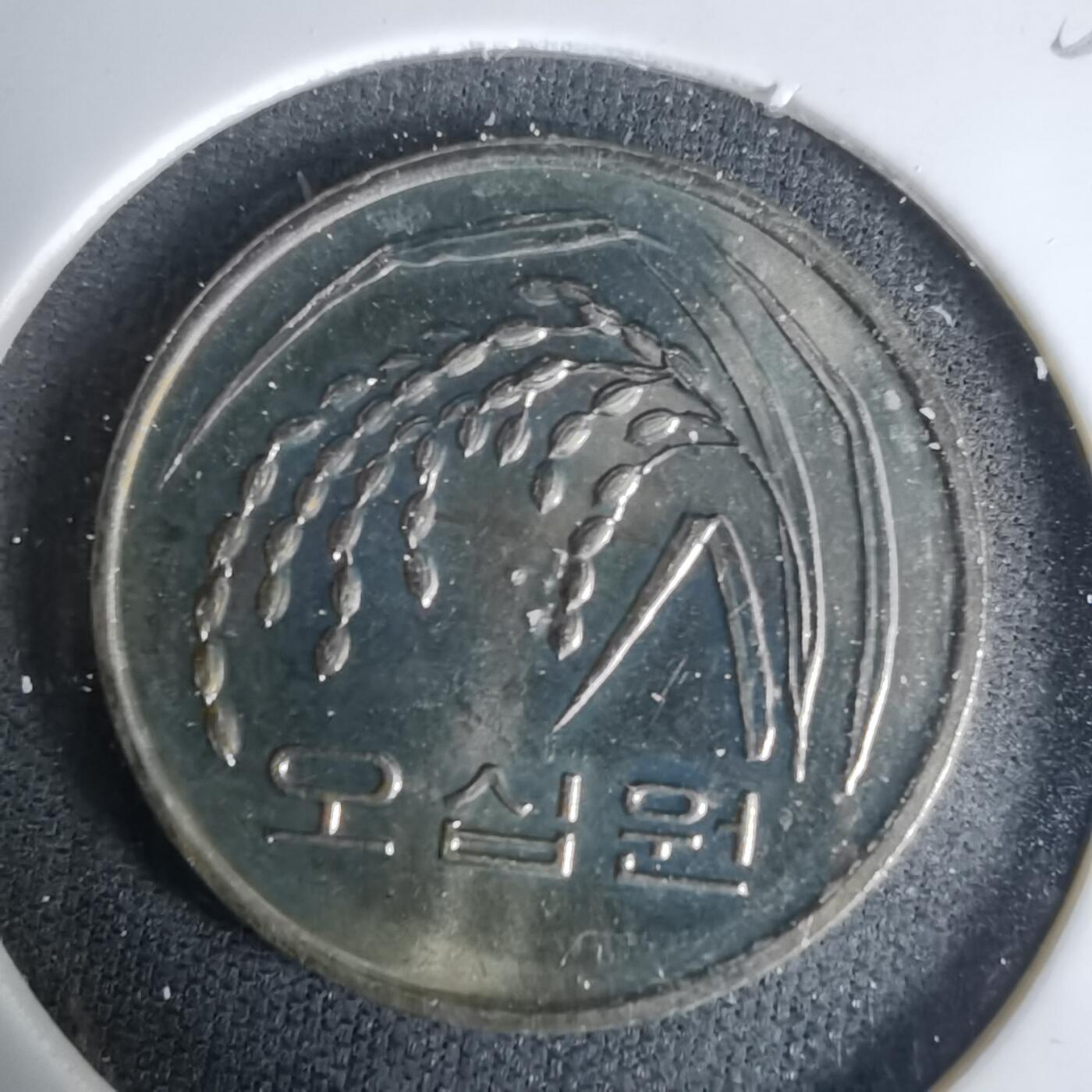 沼泽如烟--第1035场