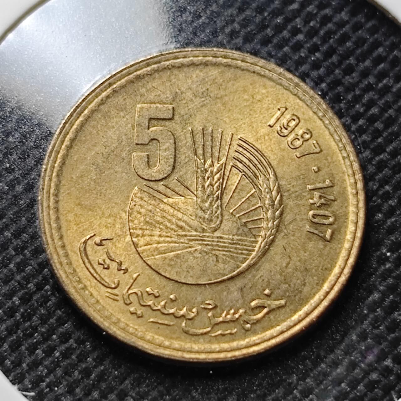 KK钱币收藏小铺  第410期 2月预留时间 周末发货