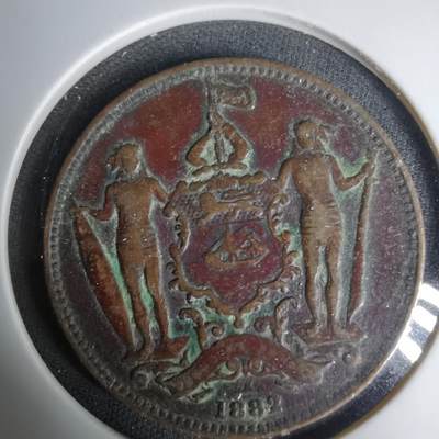 沼泽如烟--第1035场 - 婆罗洲1882年一分