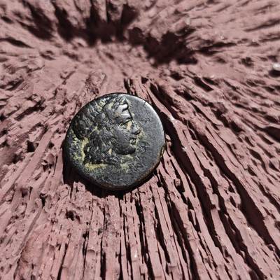 大象古币古希腊古罗马钱币专场首次拍卖1 - 古希腊科洛丰城邦太阳神阿波罗背骏马铜币