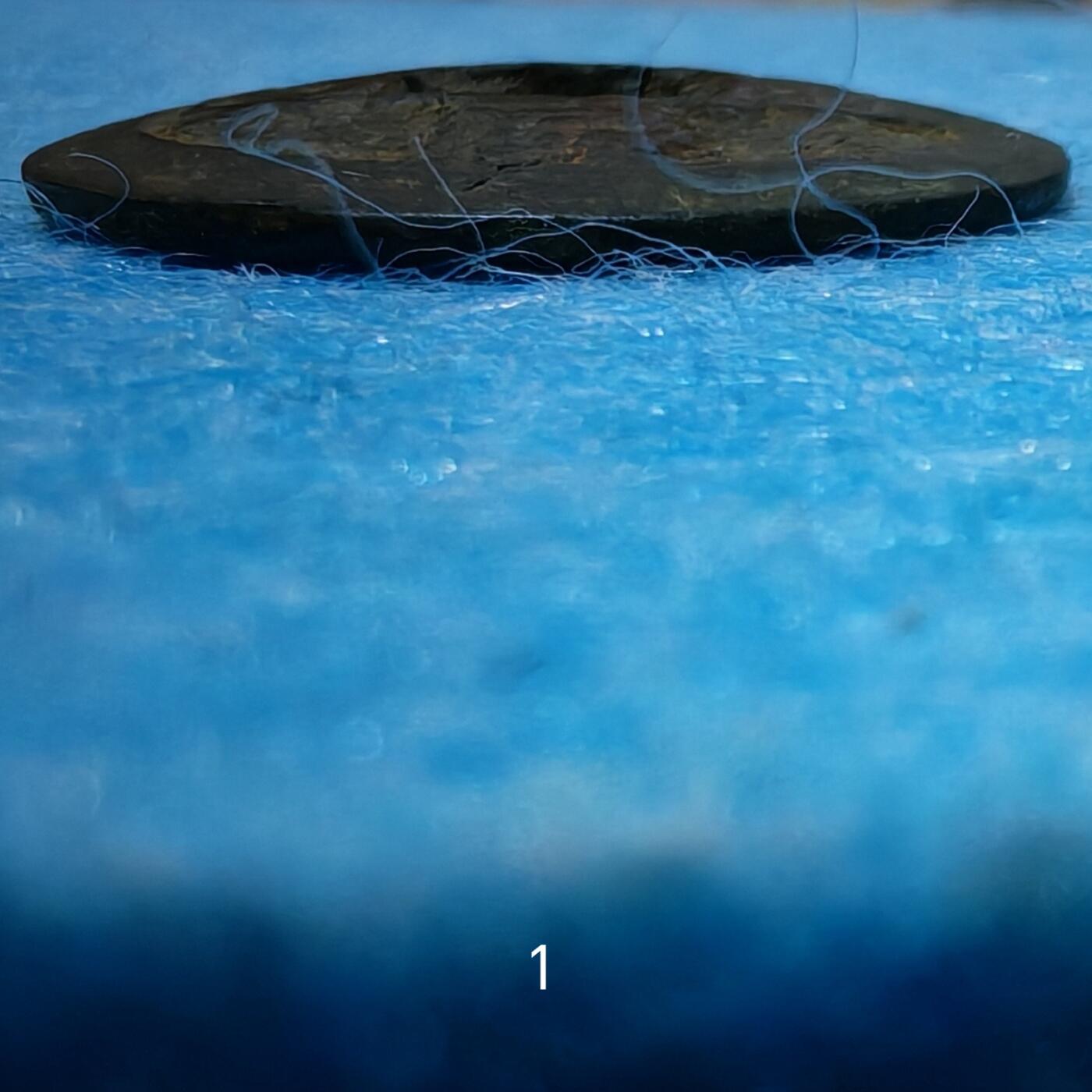 3月27日 🌏全球币章