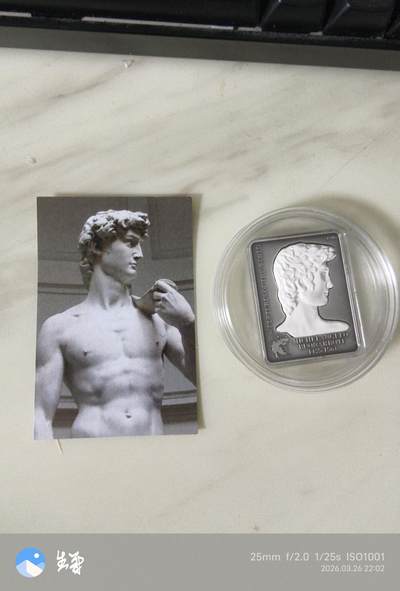 昊象达收藏银币拍卖第6场 - 2010年库克925银25克米开朗基罗大卫镶石膏浮雕仿古银币