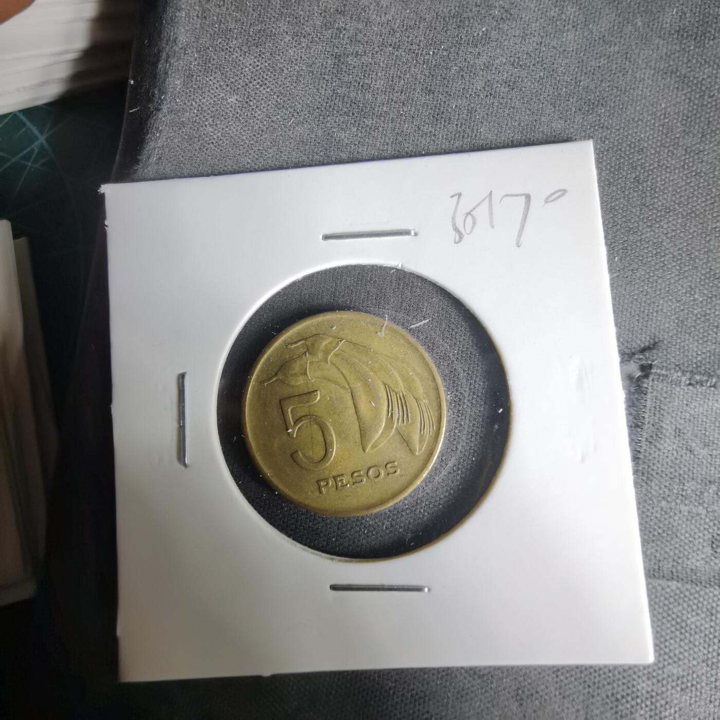 沼泽如烟--第1035场