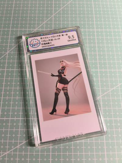 C先生 第25期 零抽层免费代拍  持续收拍品中  需要送拍的老板可以加微私聊 - 【照片卡】姬卡文化《十四小天使》N九  9.5分