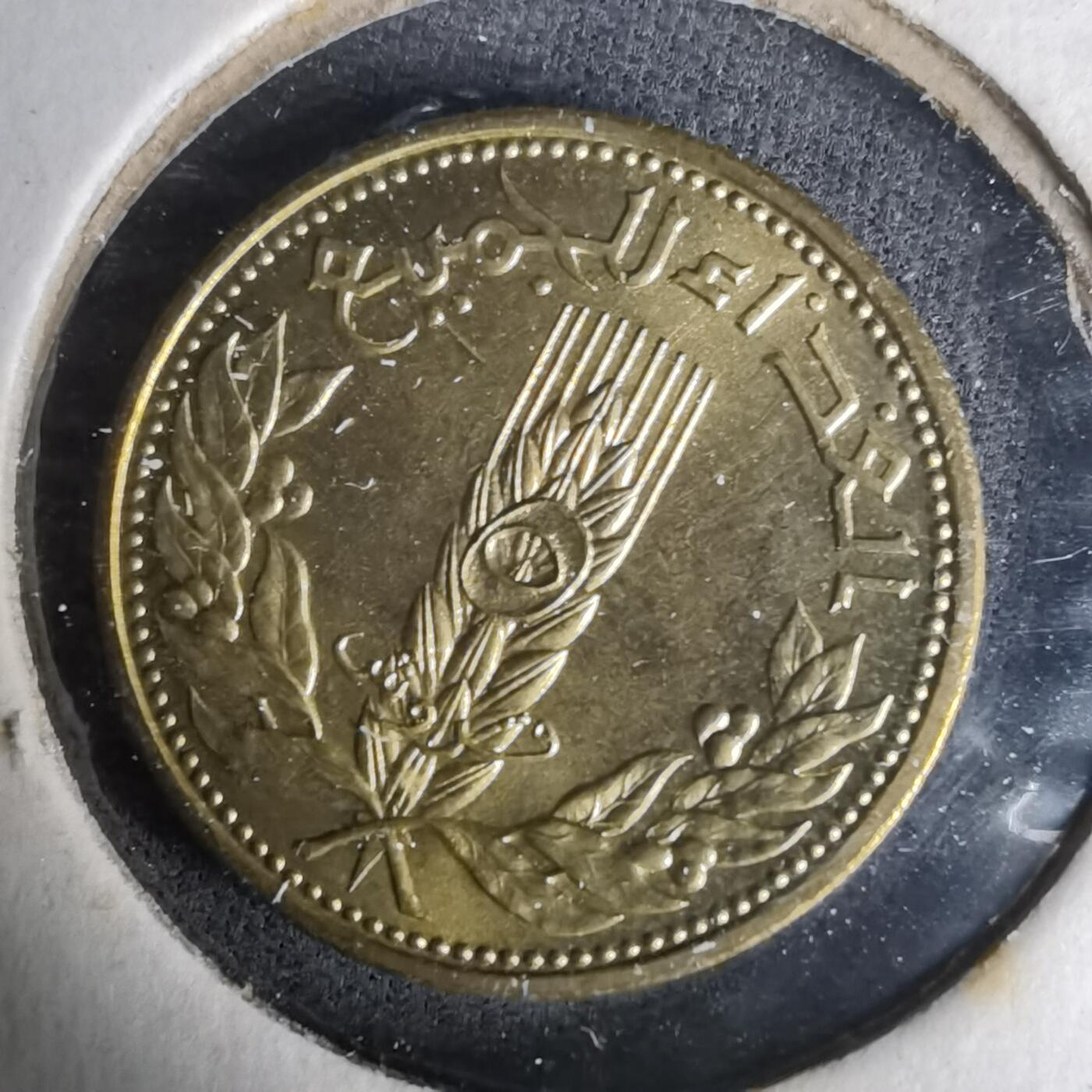 沼泽如烟--第1035场 叙利亚