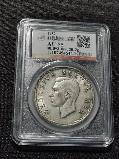 天下钱庄专场欢迎参拍 - 英属南非银币