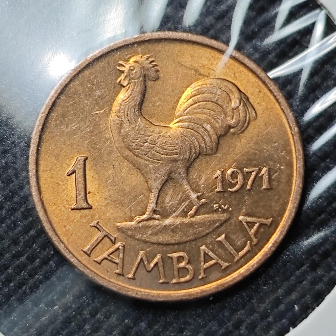 KK钱币收藏小铺  第409期 2月预留时间 周末发货