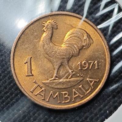 KK钱币收藏小铺  第409期 2月预留时间 周末发货 -  马拉维1坦巴拉铜币 好品