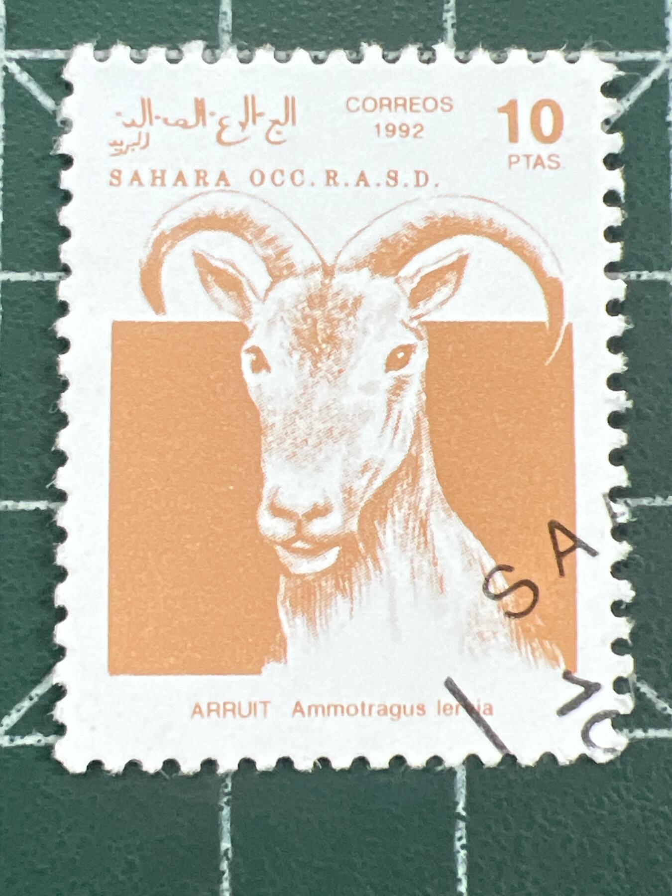 第1155  邮票专场 （无押金，捡漏，全场50包邮，偏远地区除外，接收代拍业务，本店十天发一次货） 西撒哈拉邮票