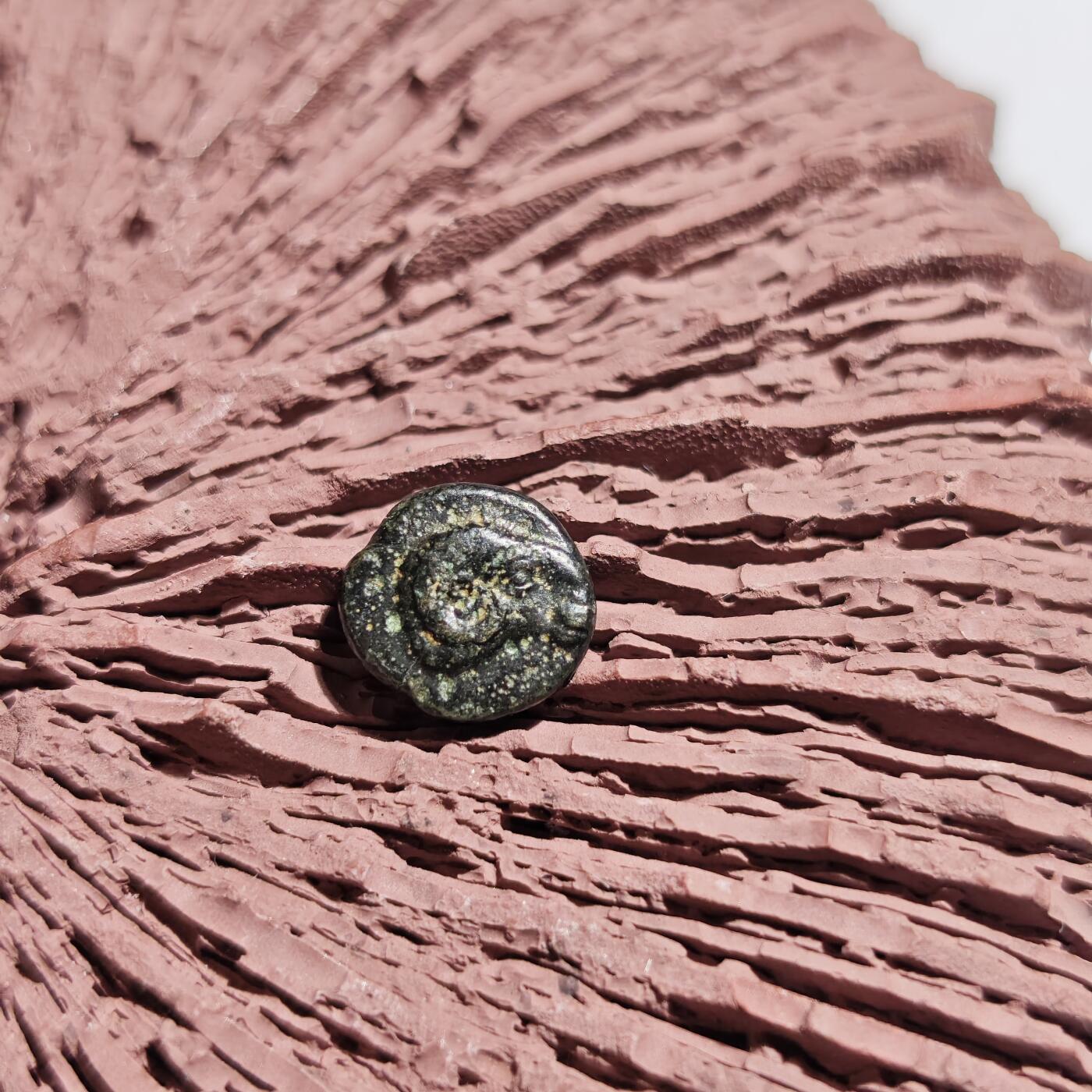 大象古币古希腊古罗马钱币专场首次拍卖1 古希腊特洛阿德（Troas）地区刻布壬（Kebren）城邦太阳神阿波罗和公羊头小铜币