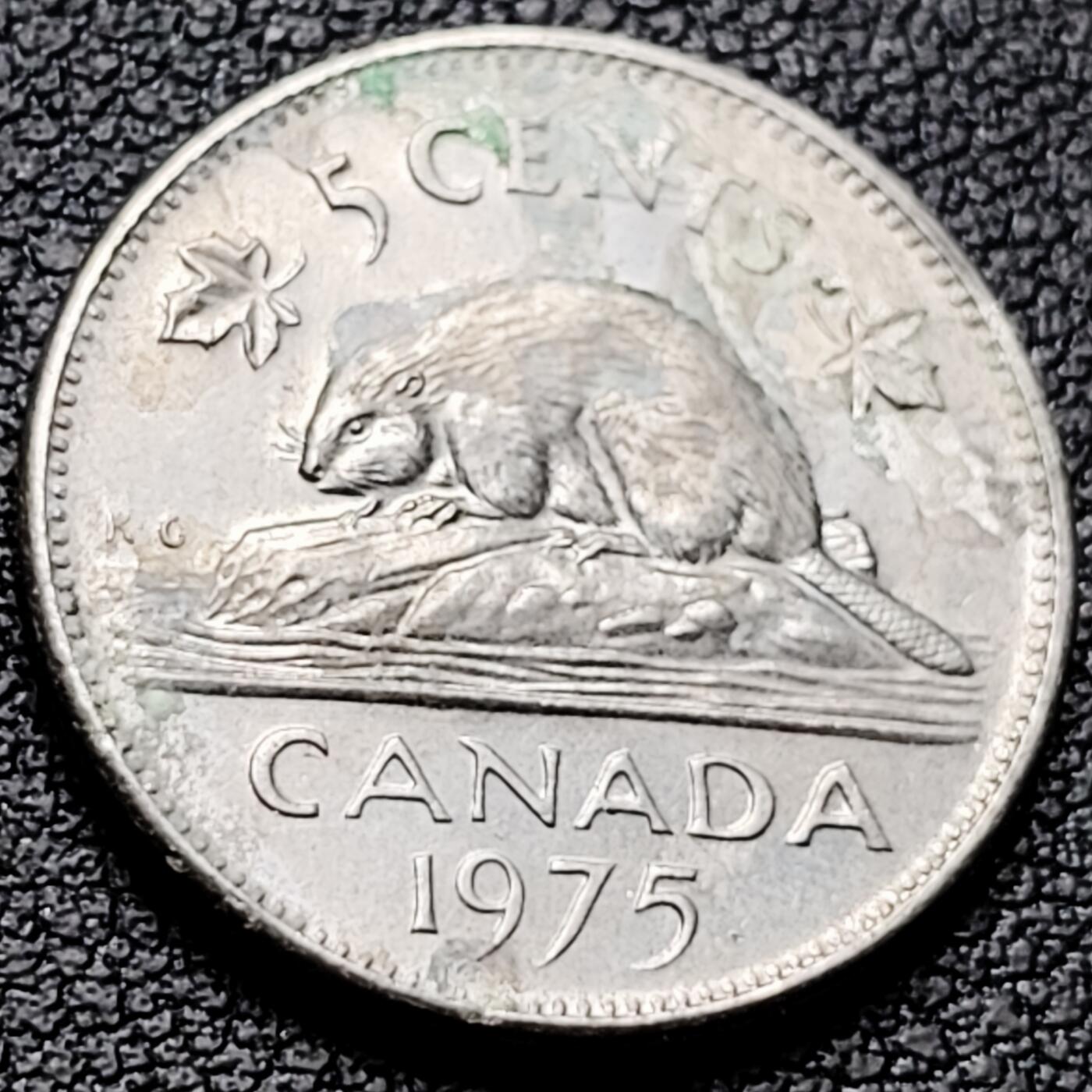 泉币菌-第216场-拍品多 请提前出价 。