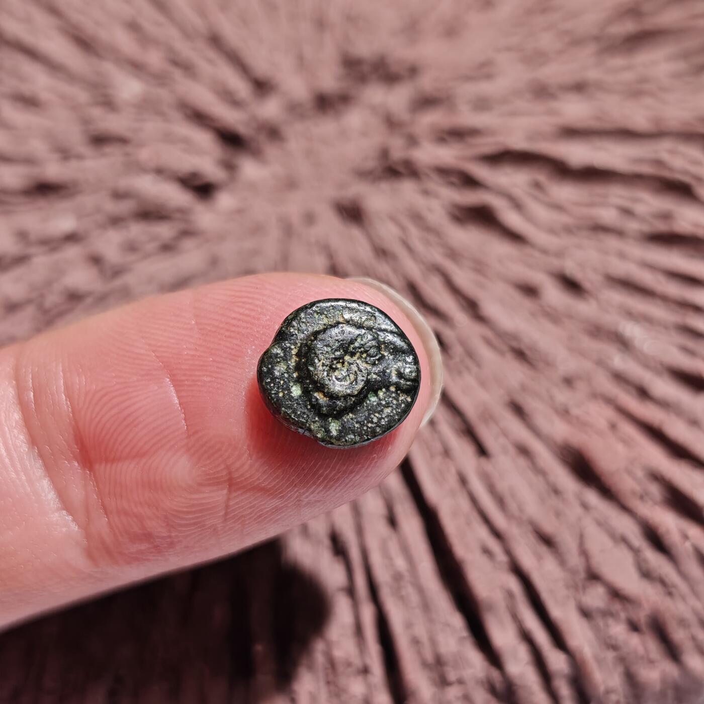 大象古币古希腊古罗马钱币专场首次拍卖1 古希腊特洛阿德（Troas）地区刻布壬（Kebren）城邦太阳神阿波罗和公羊头小铜币