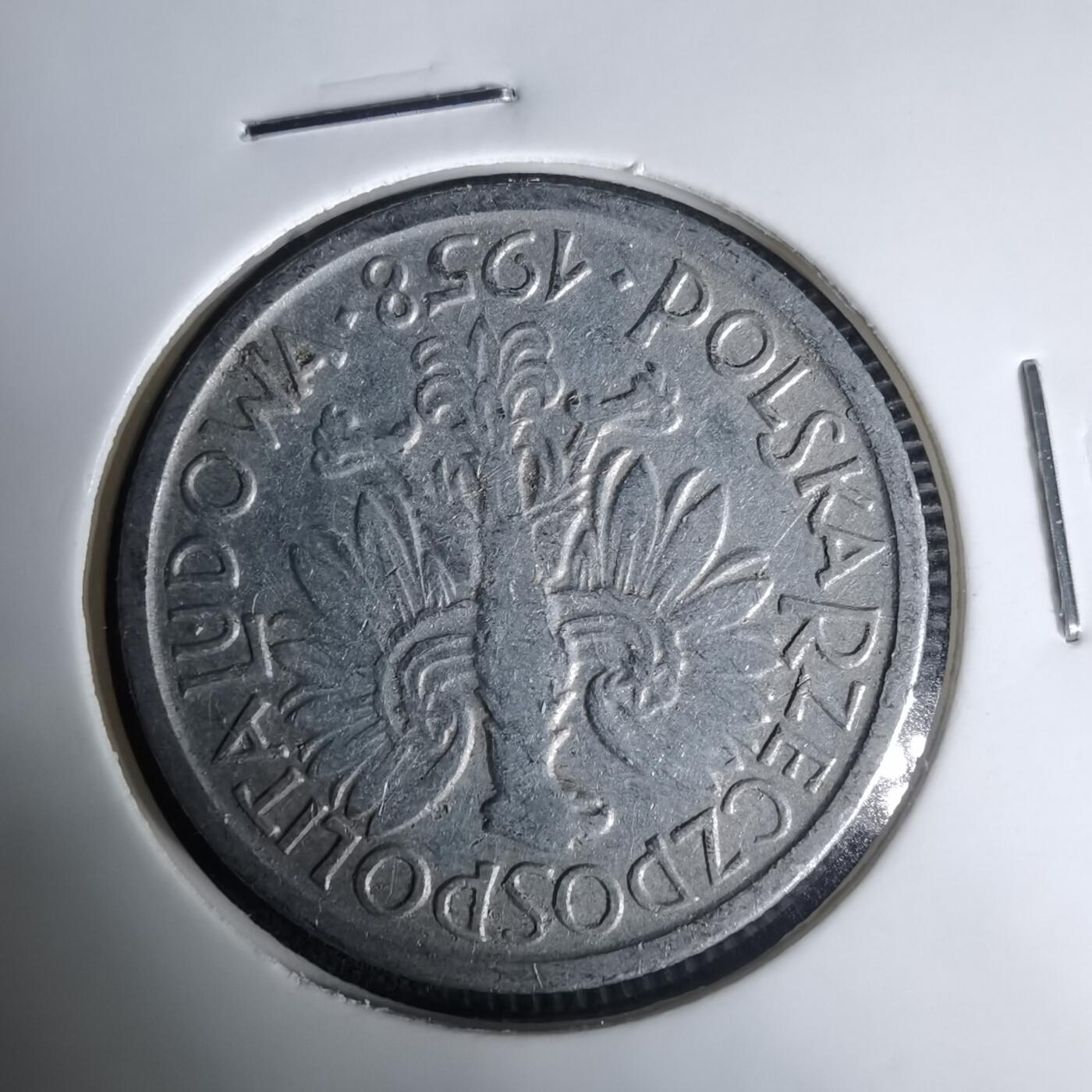 沼泽如烟--第1035场