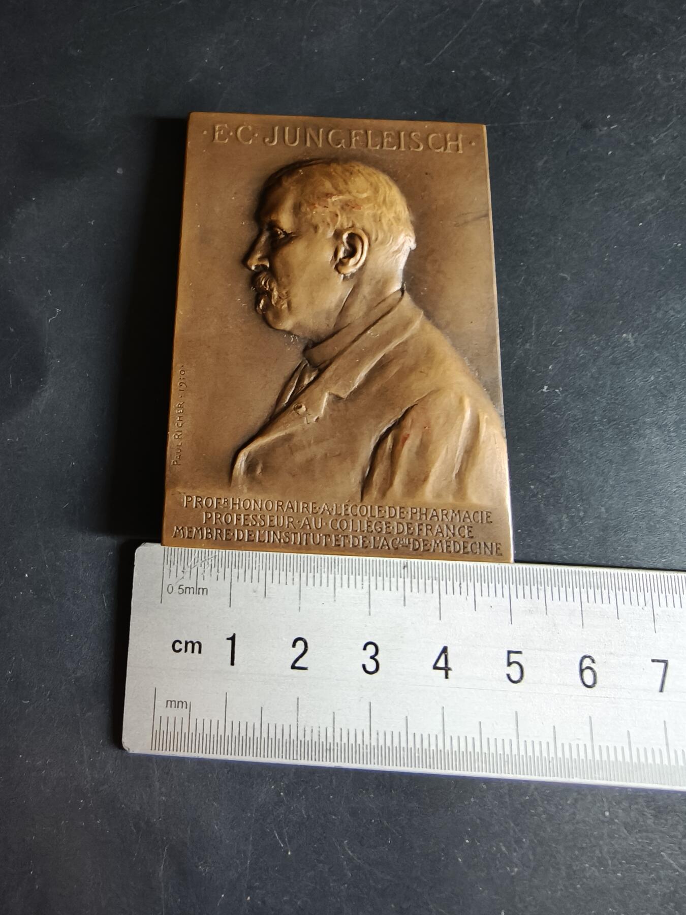 老王徽章第190期 法国化学家埃米尔·克莱门特·容弗莱施方形大铜章     该教授为法兰西科学院院士    章牌背面描绘了科学与理性化身的女神注视着在工作室实验台前工作的教授      保罗·里歇尔作品      高浮雕     尺寸50×70mm