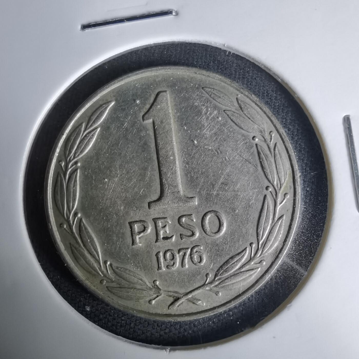 沼泽如烟--第1035场