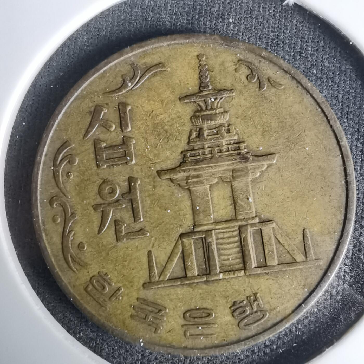 沼泽如烟--第1035场