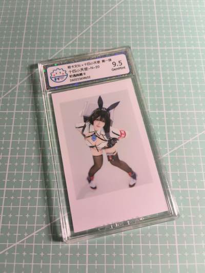 C先生 第25期 零抽层免费代拍  持续收拍品中  需要送拍的老板可以加微私聊 - 【照片卡】姬卡文化《十四小天使》N二十  9.5分