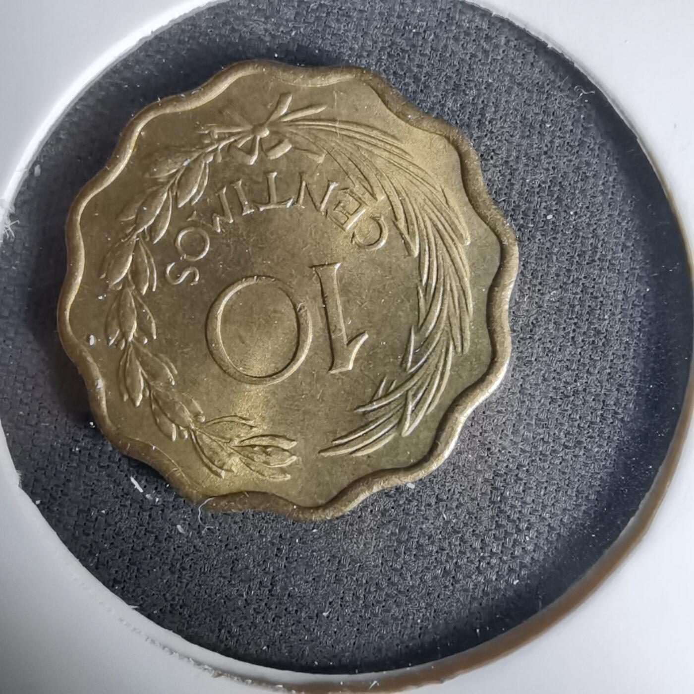 沼泽如烟--第1035场