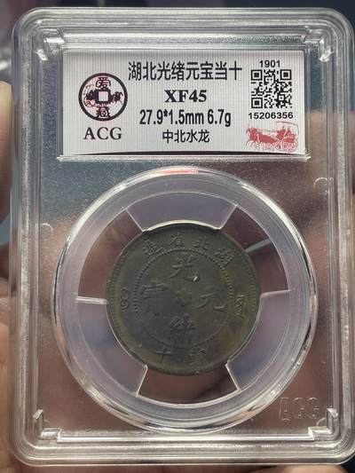 品味人生 - 湖北光绪元宝当十一枚爱藏 XF45