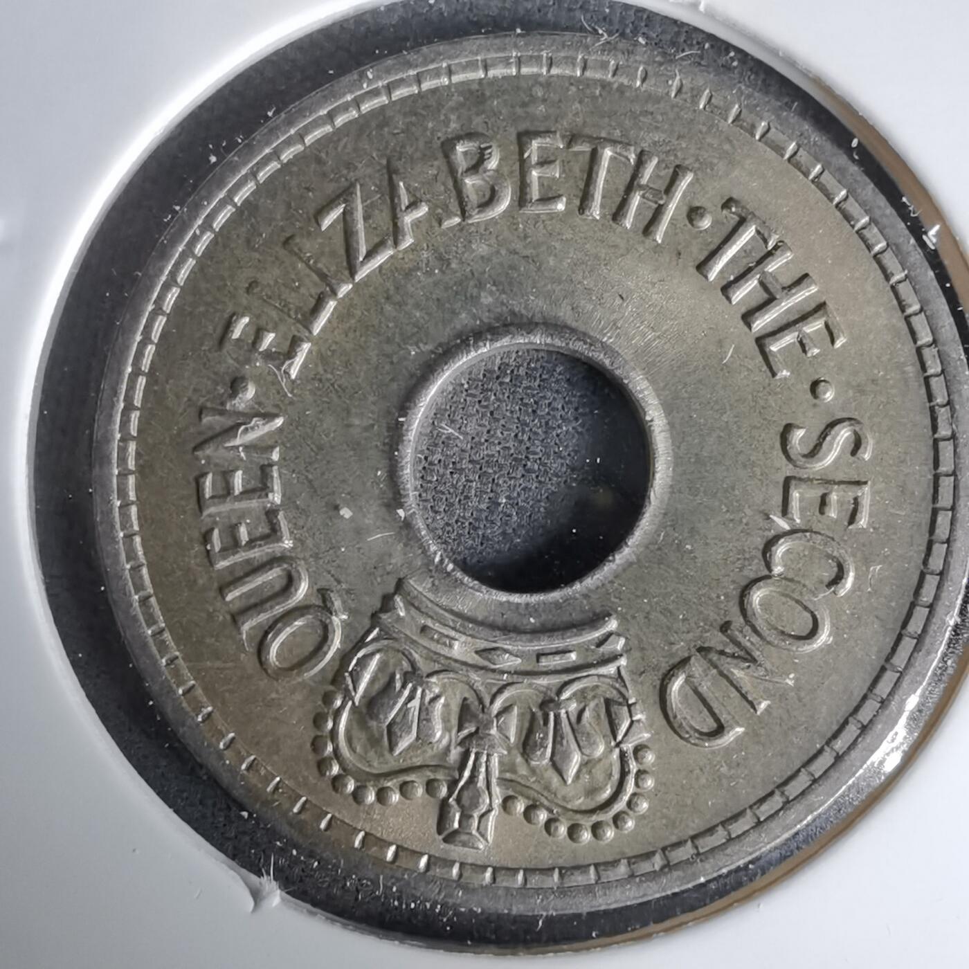 沼泽如烟--第1035场