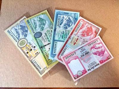 【Blue Auction】世界纸币精拍第801期——18级TOP拍卖/信誉/品质/专业/高效💫 - 【一组5张】尼泊尔 5-500卢比 动物套 全新UNC 