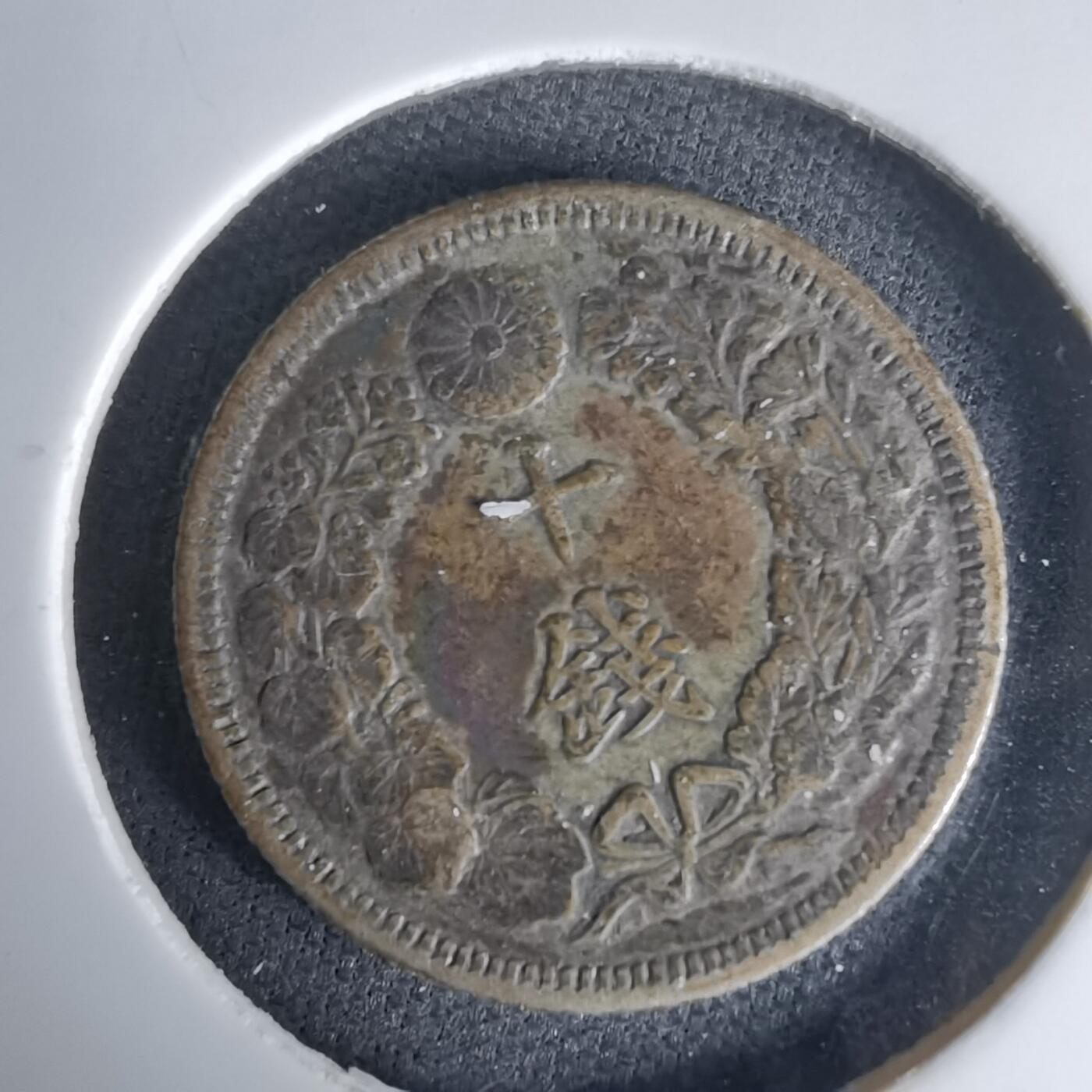 沼泽如烟--第1036场