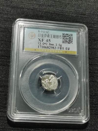 天下钱庄专场欢迎参拍 - 萨希王朝银币