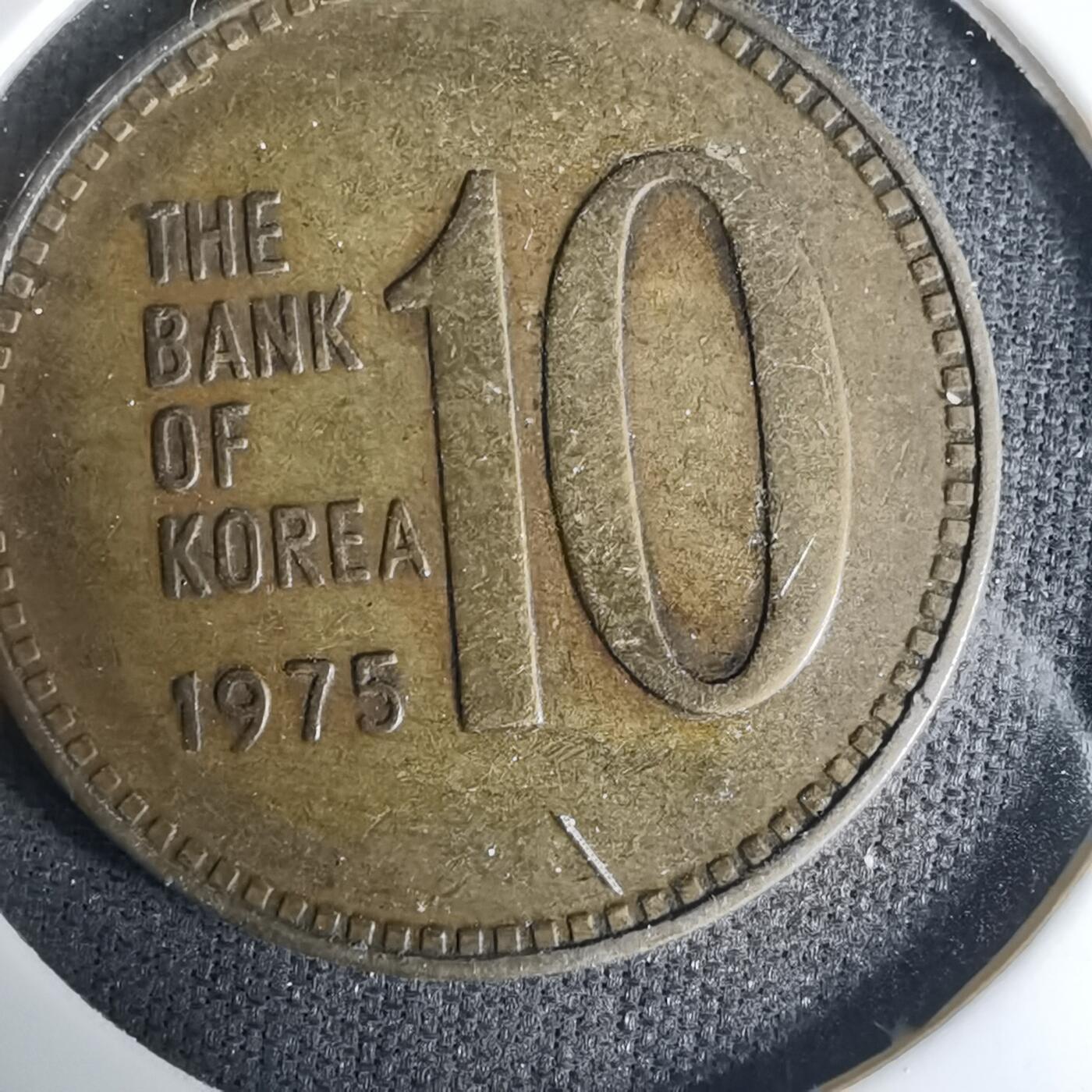 沼泽如烟--第1035场