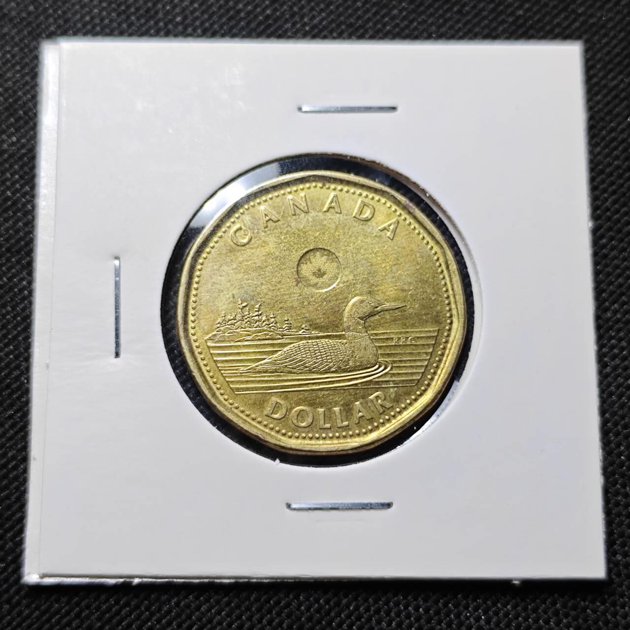 KK钱币收藏小铺  第409期 2月预留时间 周末发货  加拿大1元