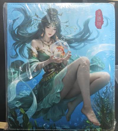 天玑星卡拍第182期《3.30周一截拍》持续收拍收评中 满赠卡需备注 - 【九宫活页卡册】鸡腿卡牌原创步练师蔡文姬专属卡册，拉链D环，双面打印，附赠双面透明卡页若干