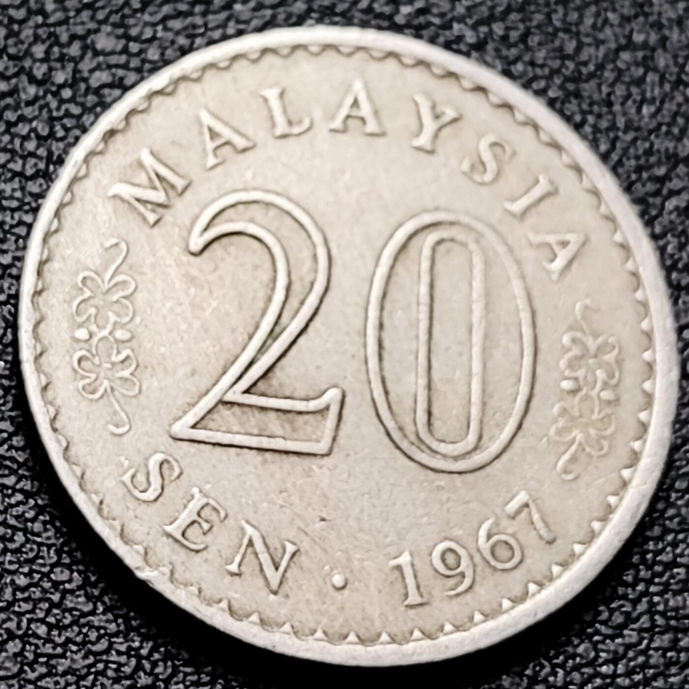 泉币菌-第216场-拍品多 请提前出价 。