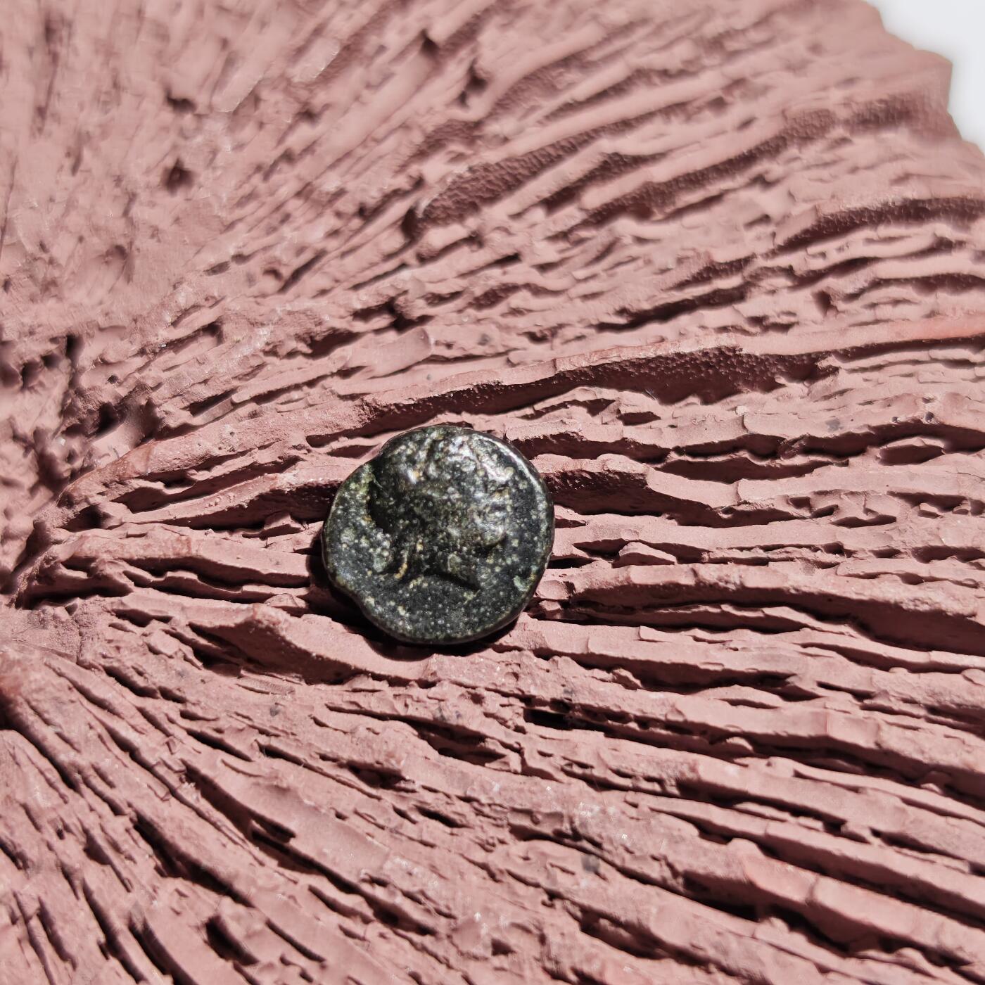 大象古币古希腊古罗马钱币专场首次拍卖1 古希腊特洛阿德（Troas）地区刻布壬（Kebren）城邦太阳神阿波罗和公羊头小铜币