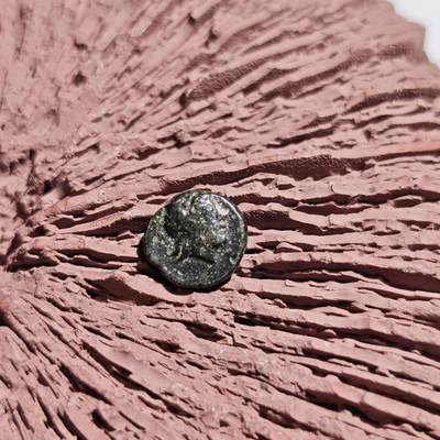 大象古币古希腊古罗马钱币专场首次拍卖1 - 古希腊特洛阿德（Troas）地区刻布壬（Kebren）城邦太阳神阿波罗和公羊头小铜币