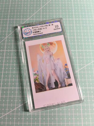 C先生 第25期 零抽层免费代拍  持续收拍品中  需要送拍的老板可以加微私聊 - 【照片卡】姬卡文化《十四小天使》N十二  10G