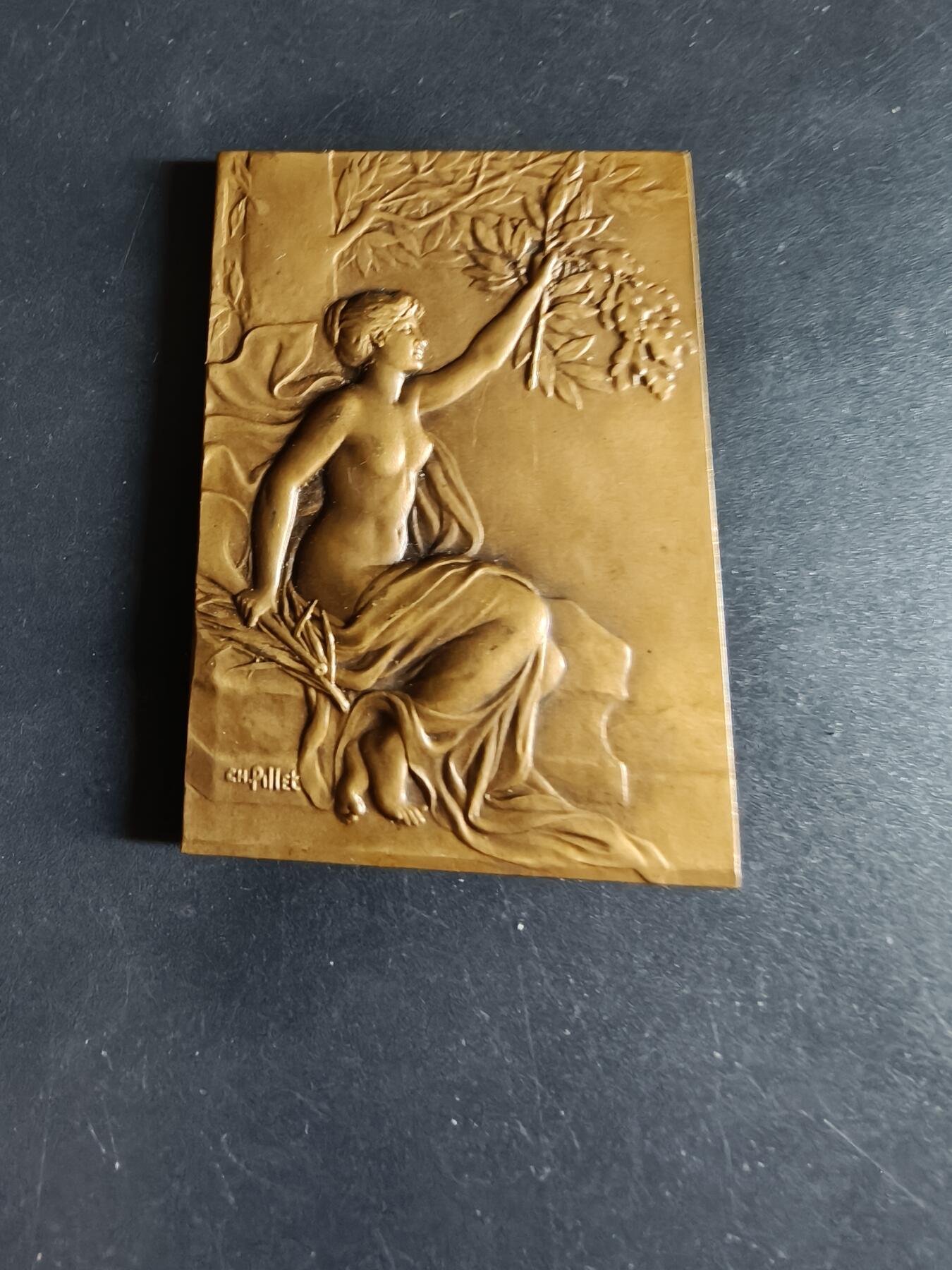 老王徽章第190期 法国香槟地区奥布省方形大铜章     大师夏尔·皮列作品    尺寸40×56mm    重量55.6g