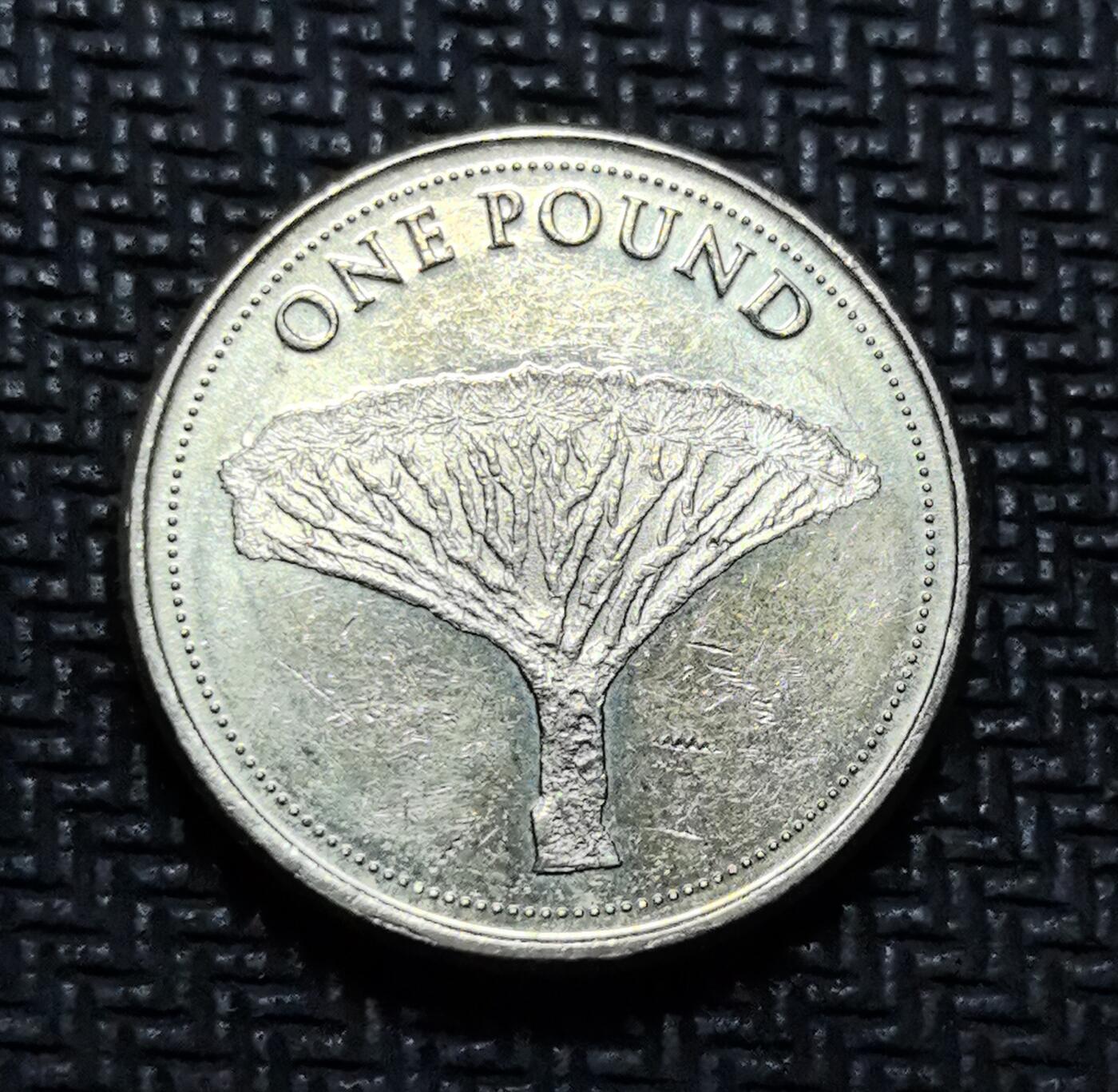 外国优质老铜币银币苏联纪念章，每周六晚九点倒数截拍，满百包邮可寄存，持续收拍 直布罗陀龙血树主题 1 英镑纪念币，正面为伊丽莎白二世头像，背面镌刻直布罗陀标志性龙血树，伞状冠幅极具辨识度，是当地生态象征。镍黄铜材质，图案线条细腻，将地中海珍稀植物与钱币艺术结合，兼具自然科普与收藏价值。