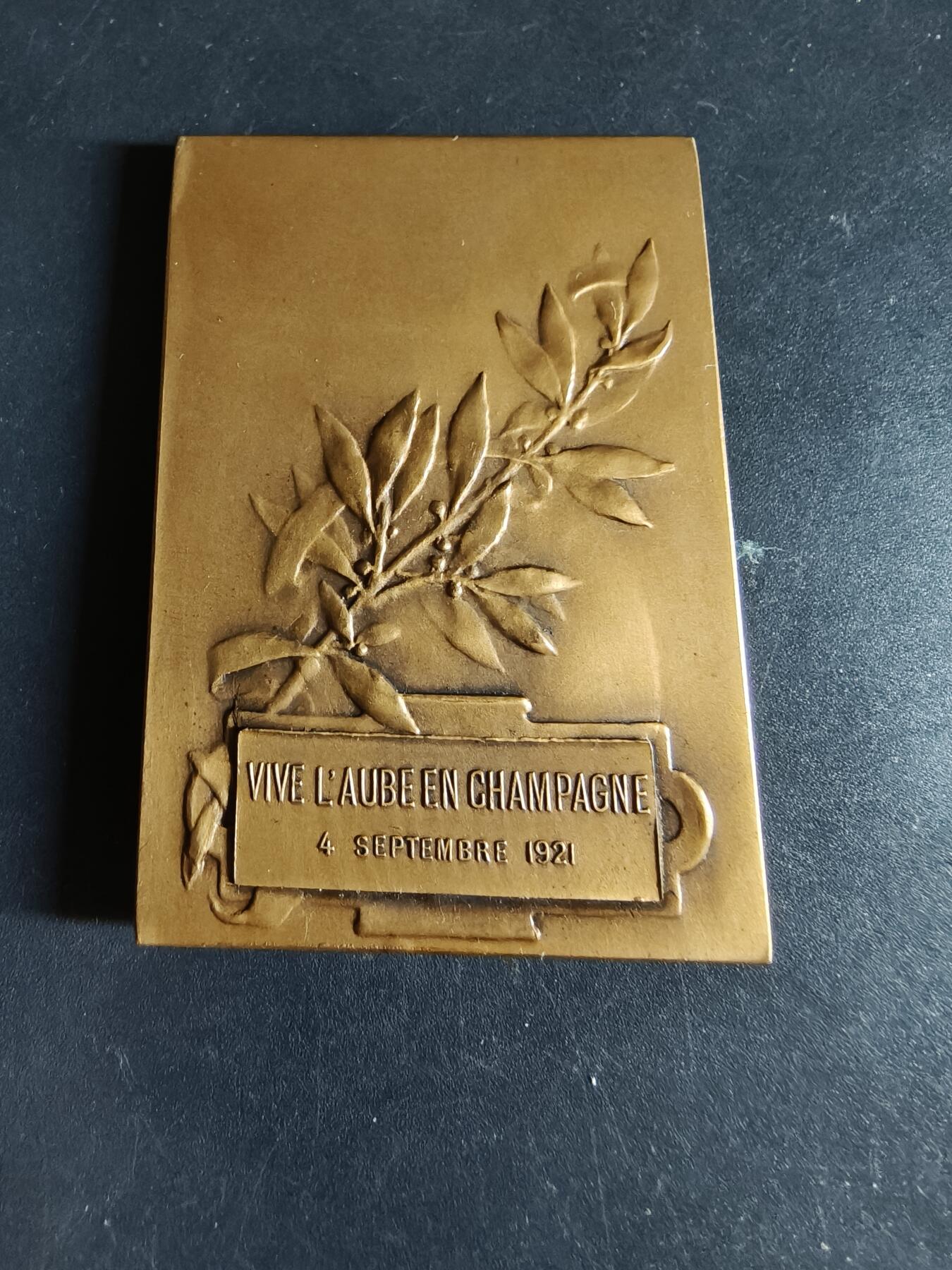 老王徽章第190期 法国香槟地区奥布省方形大铜章     大师夏尔·皮列作品    尺寸40×56mm    重量55.6g